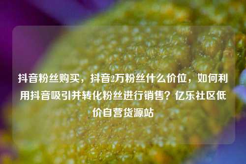 抖音粉丝购买，抖音2万粉丝什么价位，如何利用抖音吸引并转化粉丝进行销售？亿乐社区低价自营货源站  第1张