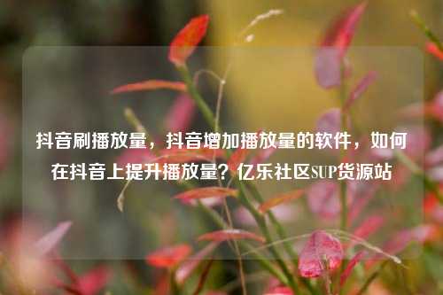 抖音刷播放量	，抖音增加播放量的软件，如何在抖音上提升播放量？亿乐社区SUP货源站  第1张