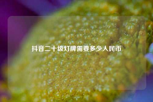 抖音二十级灯牌需要多少人民币  第1张