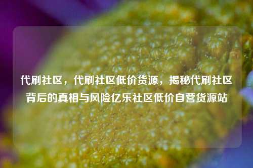 代刷社区，代刷社区低价货源，揭秘代刷社区背后的真相与风险亿乐社区低价自营货源站  第1张