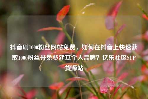 抖音刷1000粉丝网站免费，如何在抖音上快速获取1000粉丝并免费建立个人品牌？亿乐社区SUP货源站  第1张