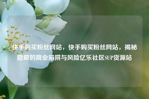 快手购买粉丝网站，快手购买粉丝网站	，揭秘隐藏的商业陷阱与风险亿乐社区SUP货源站  第1张