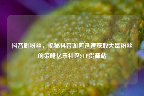 抖音刷粉丝	，揭秘抖音如何迅速获取大量粉丝的策略亿乐社区SUP货源站  第1张