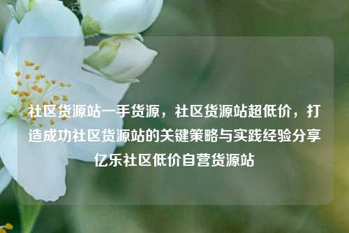 社区货源站一手货源，社区货源站超低价，打造成功社区货源站的关键策略与实践经验分享亿乐社区低价自营货源站  第1张