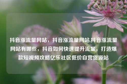 抖音涨流量网站，抖音涨流量网站,抖音涨流量网站有哪些，抖音如何快速提升流量	，打造爆款短视频攻略亿乐社区低价自营货源站  第1张