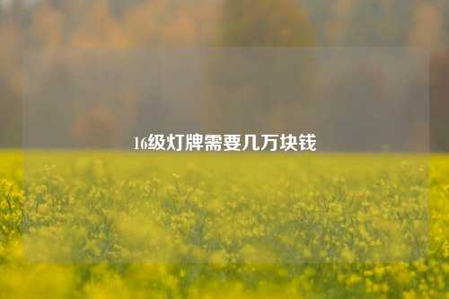 16级灯牌需要几万块钱  第1张