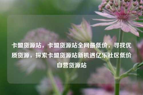 卡盟货源站，卡盟货源站全网最低价	，寻找优质货源，探索卡盟货源站新机遇亿乐社区低价自营货源站  第1张