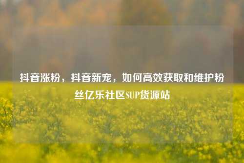 抖音涨粉，抖音新宠，如何高效获取和维护粉丝亿乐社区SUP货源站  第1张