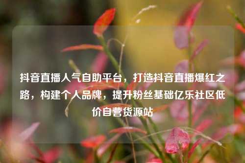 抖音直播人气自助平台，打造抖音直播爆红之路，构建个人品牌	，提升粉丝基础亿乐社区低价自营货源站  第1张