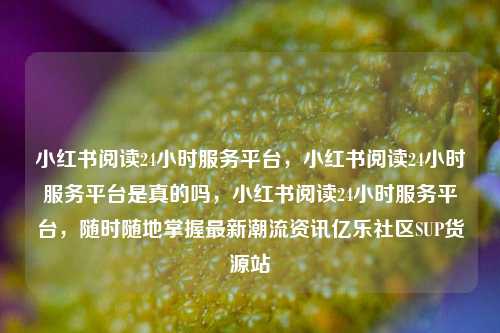 小红书阅读24小时服务平台	，小红书阅读24小时服务平台是真的吗，小红书阅读24小时服务平台，随时随地掌握最新潮流资讯亿乐社区SUP货源站  第1张