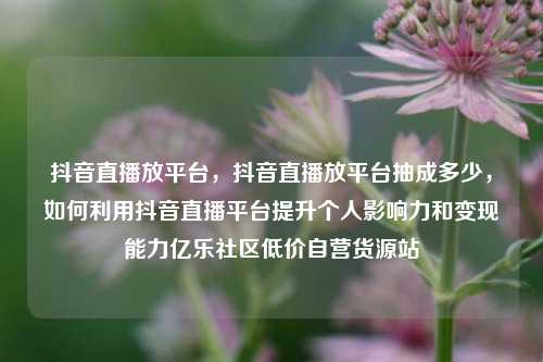 抖音直播放平台，抖音直播放平台抽成多少，如何利用抖音直播平台提升个人影响力和变现能力亿乐社区低价自营货源站  第1张