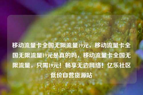 移动流量卡全国无限流量19元，移动流量卡全国无限流量19元是真的吗	，移动流量卡全国无限流量，只需19元！畅享无边网络！亿乐社区低价自营货源站  第1张