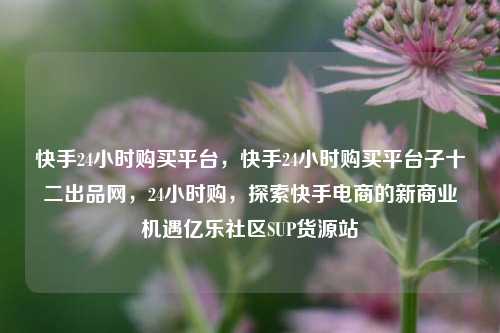 快手24小时购买平台，快手24小时购买平台子十二出品网	，24小时购，探索快手电商的新商业机遇亿乐社区SUP货源站  第1张